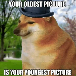 😯 emoji 𝗙𝗮𝗰𝘁𝘀 ㅤ ⁪⁬⁮⁮⁮⁮ ‌ㅤ ⁪⁬⁮⁮⁮⁮ ‌ ㅤ ⁪⁬⁮⁮⁮⁮ ‌ ⁪⁬⁮⁮⁮⁮ ‌@Teton_XD — @stckr Telegram sticker 5 of 23