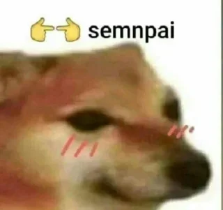 ❤ emoji Hehe Telegram sticker 14 of 24