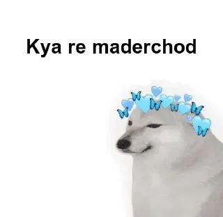 Sticker from A K A S H