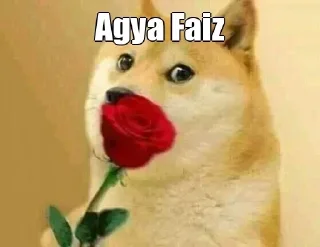 🤔 emoji @its_mr_faiz   MR || FAIZ — @stckrRobot Telegram sticker 5 of 23