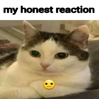 🤨 emoji Honest Reaction @ManasTheKing Telegram sticker 18 of 52