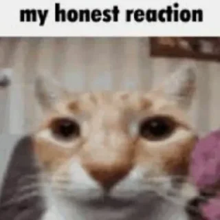 😂 emoji Honest Reaction @ManasTheKing Telegram sticker 2 of 52