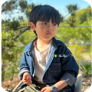 🖼 emoji KING @Kisssmee27 Telegram sticker 8 of 45