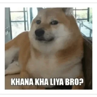 😊 emoji @baddass_fufa dogesh 🤬🤬 Telegram sticker 9 of 120