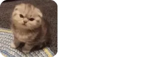 😒 emoji 🍿𝕄𝕚𝕟𝕚 𝕂𝕒𝕟𝕘𝕤 🍿 @ItsMeSithija Telegram sticker 17 of 81