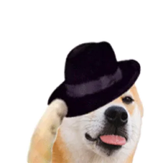 🥰 emoji 定制表情包 @sudabb7 Telegram sticker 13 of 50