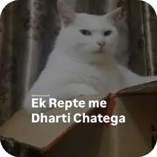 🐱 emoji @Badelog01 || @Rahul_91102 Telegram sticker 4 of 106
