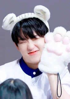 🐯 emoji KWON SOONYOUNG Telegram sticker 21 of 76