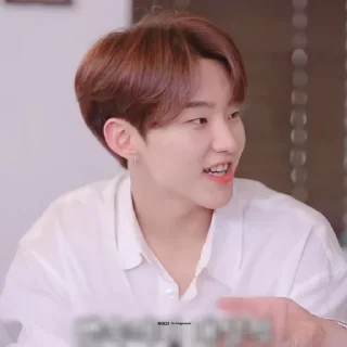 🐯 emoji KWON SOONYOUNG Telegram sticker 19 of 76