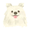 ⭐ emoji ⭐️  𑁯 ˖   𝑐𝑢𝑡𝑖𝑒𝑝𝑖𝑒 — @puciyi  𝅄 ׁ ♡ Telegram sticker 12 of 40