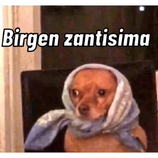 😀 emoji PERRITOS CURA DEPRESIÓN🐶💕😎 Telegram sticker 16 of 18