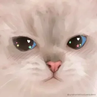 🌟 emoji @FLYNN_LOYAL Cat Emotion🐈 Telegram sticker 5 of 55