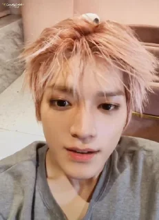 🦅 emoji taeyong Telegram sticker 24 of 25