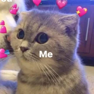 Sticker from meowww