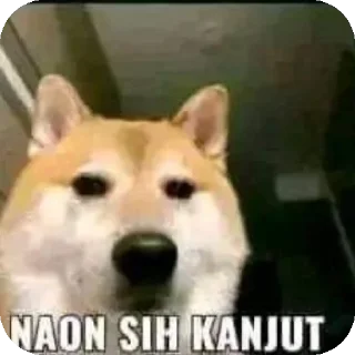 🐶 emoji Aduhai Telegram sticker 20 of 67