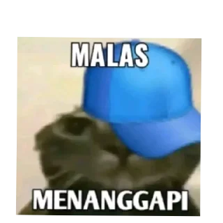Sticker from KNTL