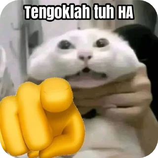 Sticker from Kocheng by Abell imut pacar heeseung