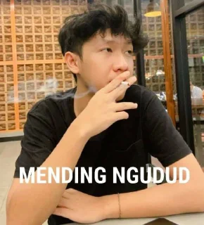 👍 emoji barudak halcyon Telegram sticker 5 of 53