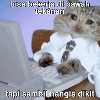 ☺️ emoji @keisya punya lek Telegram sticker 13 of 78