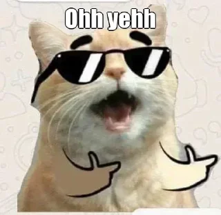 🙂 emoji 😹[̲̅M][̲̅e][̲̅o][̲̅w] 😻[̲̅m][̲̅e][̲̅o][̲̅w] 😹's stic-pack (@Kuri Telegram sticker 11 of 120