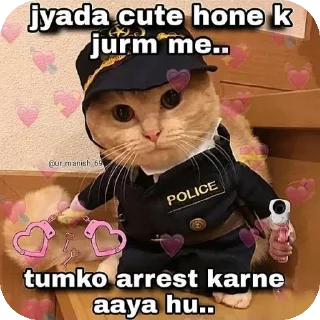 🐱 emoji Funny memes Telegram sticker 11 of 54