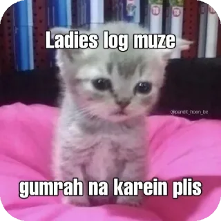 🐱 emoji Funny memes Telegram sticker 18 of 54