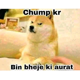 🐶 emoji Funny memes Telegram sticker 19 of 54