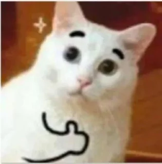 👍 emoji betlog ni eshwa Telegram sticker 15 of 48
