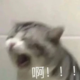 🗣 emoji 维常用 Telegram sticker 22 of 80
