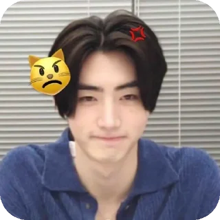 🤳 emoji sunghoon! Telegram sticker 7 of 11