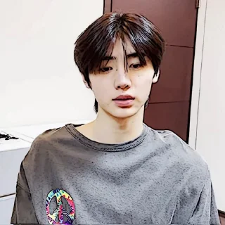 🧩 emoji sunghoon :: @gudangnyastikerrp Telegram sticker 19 of 32
