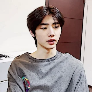 🧩 emoji sunghoon :: @gudangnyastikerrp Telegram sticker 23 of 32