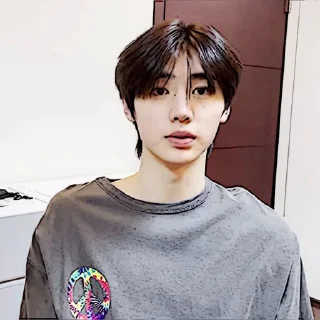🧩 emoji sunghoon :: @gudangnyastikerrp Telegram sticker 20 of 32