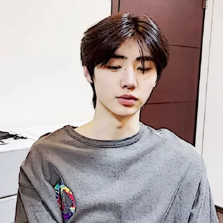 🧩 emoji sunghoon :: @gudangnyastikerrp Telegram sticker 24 of 32