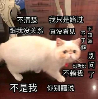 🥺 emoji 咖喱给给 @AGOOK Telegram sticker 13 of 120