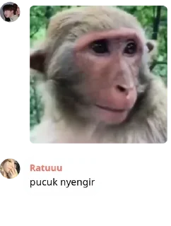 👦 emoji Skuy Mapia || White 🐇 pack by @QuotLyBot Telegram sticker 15 of 120
