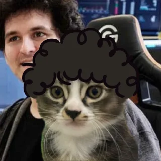 Sticker from BOO THE CAT COIN V1