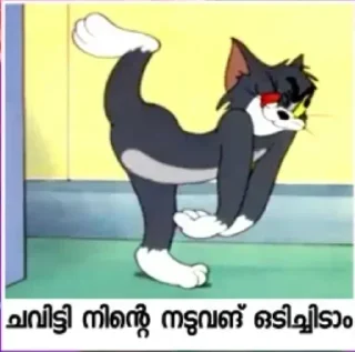 😹 emoji 彡 JEOL 彡 TWO Telegram sticker 7 of 85
