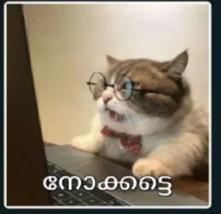 😆 emoji 彡 JEOL 彡 TWO Telegram sticker 13 of 85