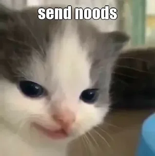 😼 emoji Vash's Pack 2nd edition Telegram sticker 23 of 107
