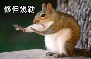 ✋ emoji 梗圖集 (by Newt K.) Telegram sticker 16 of 35