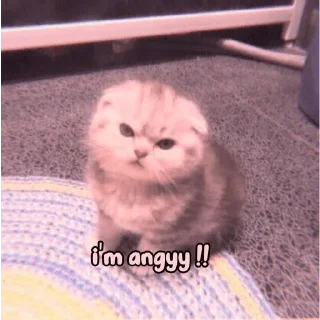 😡 emoji Maimai Telegram sticker 10 of 12