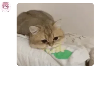🎟️ emoji 沙雕羊村复读机 - Games 🐱 | 老年战犯表演中心  pack by @QuotLyBot Telegram sticker 20 of 120