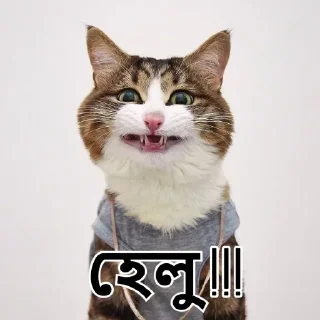 Sticker from Pack