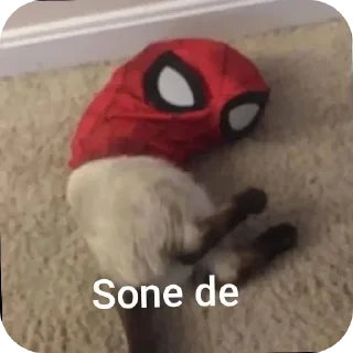 🤡 emoji 𝙈𝙖𝙠𝙙𝙞 𝙈𝙖𝙉𝙖𝙑s kang pack Telegram sticker 14 of 18