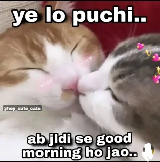 🥰 emoji ⛦⃕͜𝄟͢•๋❀͢𝐒𝖍𝐫𝖎𝐬𝐡𝐭𝖎𝆺𝅥🩷✶ ◡̈⃝ ا۬͢🌸᪳𝆺꯭𝅥⎯ — Telegram sticker 15 of 50