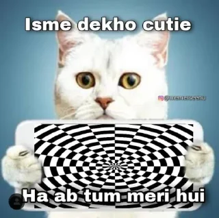 😂 emoji ⛦⃕͜𝄟͢•๋❀͢𝐒𝖍𝐫𝖎𝐬𝐡𝐭𝖎𝆺𝅥🩷✶ ◡̈⃝ ا۬͢🌸᪳𝆺꯭𝅥⎯ — Telegram sticker 6 of 50