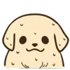 🐶 emoji ₊ . ˚ @sweepybunnies . . ⊹° ഒ Telegram sticker 23 of 40