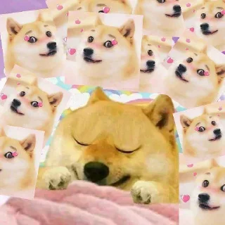 🤔 emoji बागड बिल्लाs kang pack Telegram sticker 7 of 67