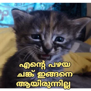 😣 emoji @shamilnelli Vol 2 Telegram sticker 9 of 120